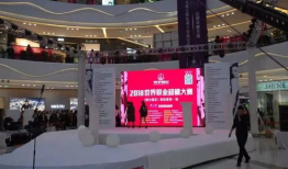 王伊辰资料