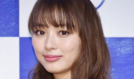 田理图片