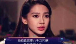 娱乐圈抨击,揭秘明星背后的真相与争议