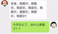 虐单身狗视频 搞笑,虐狗视频中的爆笑瞬间