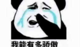 骄傲的表情图片