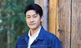 演员 陆毅,从影视新星到实力派演员的蜕变之路