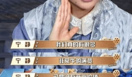 娱乐圈抨击,揭秘明星背后的真相与争议