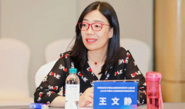 网红王文静,从网络红人到影响力领袖的蜕变之路