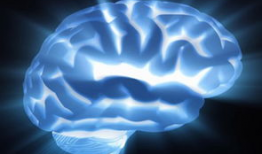 关于脑的资料,探索人类认知与智慧的神经基础