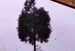 蓝翔挖机搞笑视频