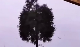 蓝翔挖机搞笑视频