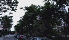 童路图片,探寻童年记忆中的诗意与纯真