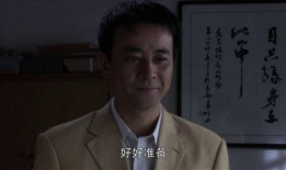 小麦进城演员表大全,实力派明星齐聚一堂，演绎都市情感风云录