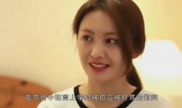 明星读书时代被欺负,明星读书时代的不屈与成长