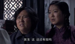 小麦进城演员表大全,实力派明星齐聚一堂，演绎都市情感风云录