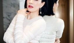 钟丽缇资料介绍,从香港女神到国际巨星的多彩人生