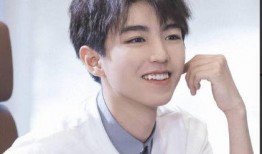 王俊凯为什么要当明星