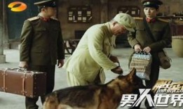 袁苑个人资料,才华横溢的影视新星，多面手艺人的人生轨迹