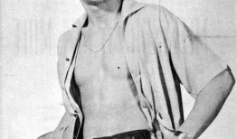 王羽照片,光影中的传奇人生