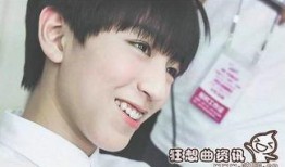 王俊凯为什么要当明星