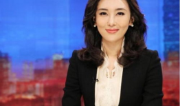 好看央视女主播,美丽与智慧并存的传播使者