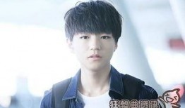 王俊凯为什么要当明星