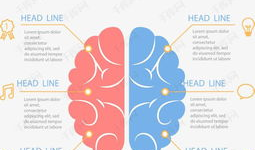 关于脑的资料,探索人类认知与智慧的神经基础