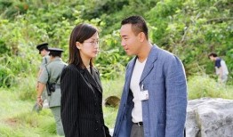 鉴证实录背景音乐,旋律中的悬疑探案之旅