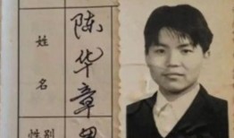 陈华章背景
